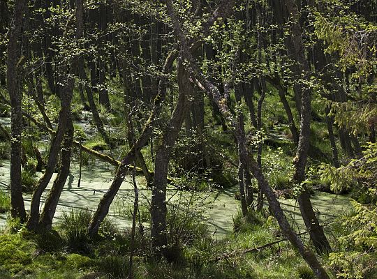 Słowiński Park Narodowy